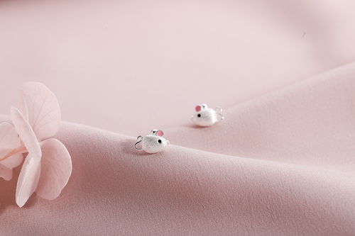 银饰品耳钉耳环首饰拍摄 电商静物产品拍照 小清新饰品